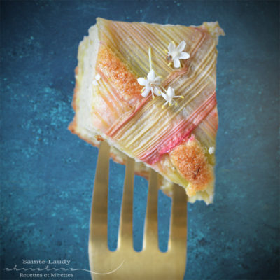 recette gâteau à la rhubarbe fleurs de sureau